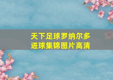 天下足球罗纳尔多进球集锦图片高清