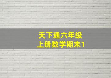 天下通六年级上册数学期末1