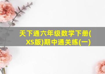 天下通六年级数学下册(XS版)期中通关练(一)