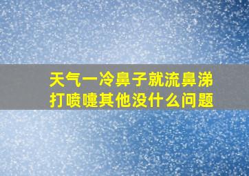 天气一冷鼻子就流鼻涕打喷嚏其他没什么问题