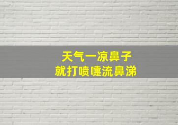 天气一凉鼻子就打喷嚏流鼻涕