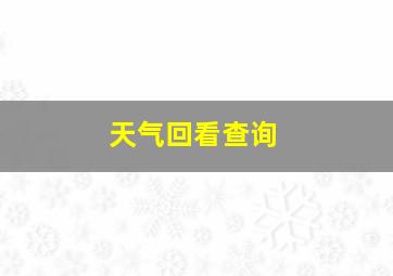 天气回看查询