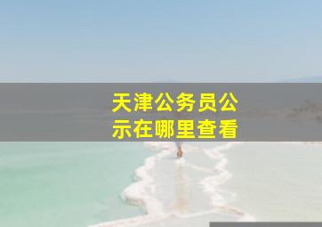 天津公务员公示在哪里查看