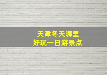 天津冬天哪里好玩一日游景点