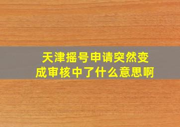 天津摇号申请突然变成审核中了什么意思啊