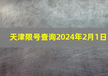 天津限号查询2024年2月1日