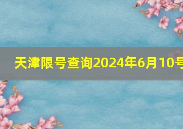 天津限号查询2024年6月10号