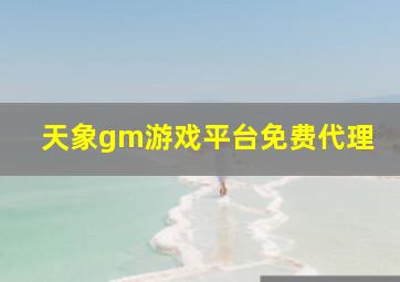 天象gm游戏平台免费代理