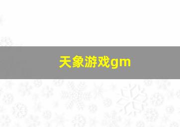 天象游戏gm