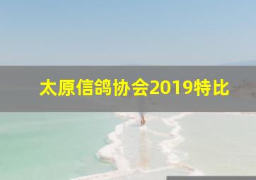 太原信鸽协会2019特比