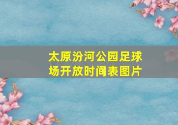 太原汾河公园足球场开放时间表图片