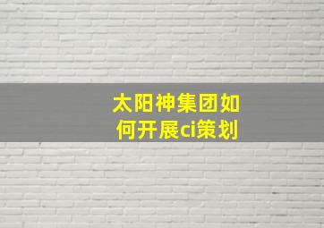 太阳神集团如何开展ci策划