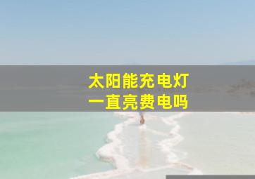 太阳能充电灯一直亮费电吗