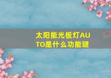 太阳能光板灯AUTO是什么功能键