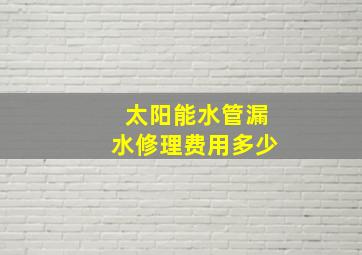 太阳能水管漏水修理费用多少