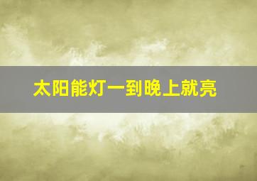 太阳能灯一到晚上就亮