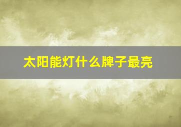 太阳能灯什么牌子最亮