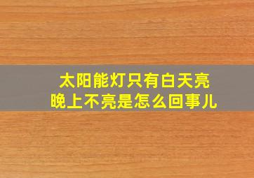 太阳能灯只有白天亮晚上不亮是怎么回事儿