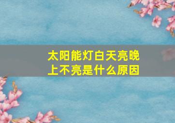 太阳能灯白天亮晚上不亮是什么原因