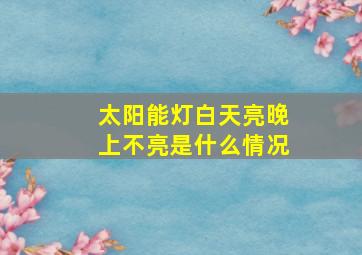 太阳能灯白天亮晚上不亮是什么情况