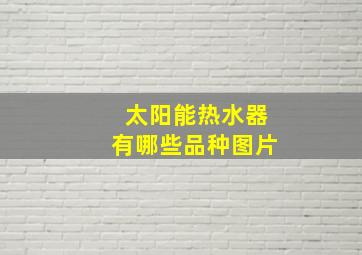 太阳能热水器有哪些品种图片