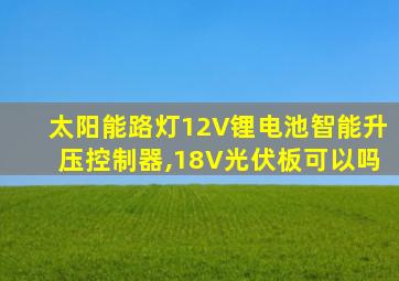 太阳能路灯12V锂电池智能升压控制器,18V光伏板可以吗