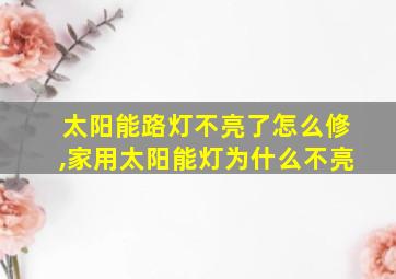 太阳能路灯不亮了怎么修,家用太阳能灯为什么不亮