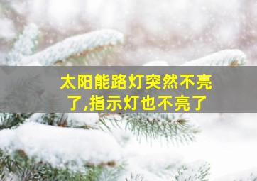 太阳能路灯突然不亮了,指示灯也不亮了