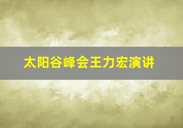 太阳谷峰会王力宏演讲