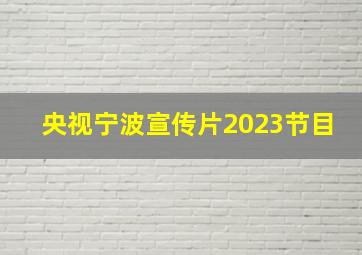 央视宁波宣传片2023节目