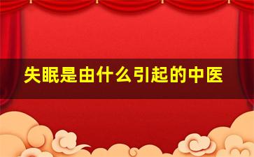 失眠是由什么引起的中医