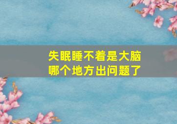 失眠睡不着是大脑哪个地方出问题了