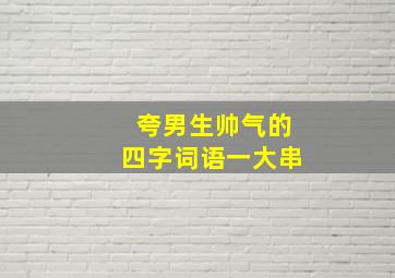 夸男生帅气的四字词语一大串