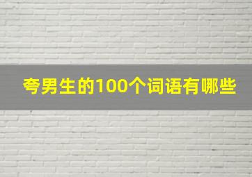 夸男生的100个词语有哪些