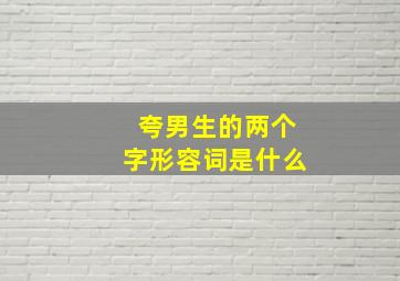 夸男生的两个字形容词是什么