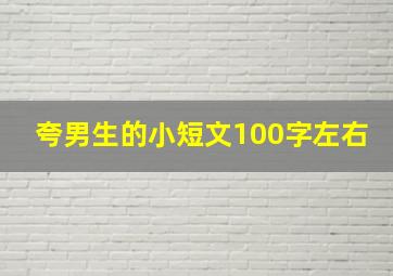 夸男生的小短文100字左右