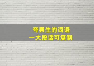 夸男生的词语一大段话可复制