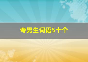 夸男生词语5十个