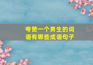 夸赞一个男生的词语有哪些成语句子