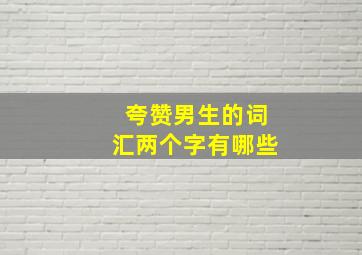 夸赞男生的词汇两个字有哪些