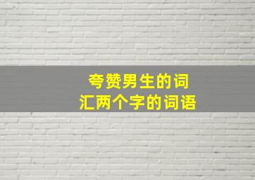 夸赞男生的词汇两个字的词语