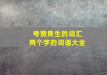 夸赞男生的词汇两个字的词语大全