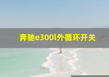 奔驰e300l外循环开关