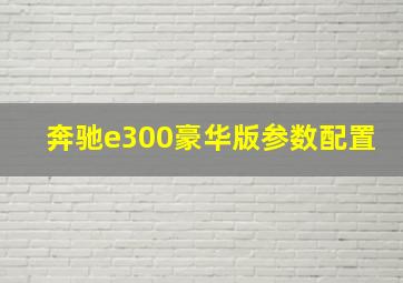 奔驰e300豪华版参数配置