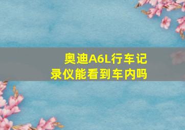 奥迪A6L行车记录仪能看到车内吗