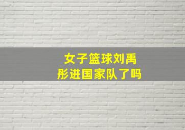 女子篮球刘禹彤进国家队了吗