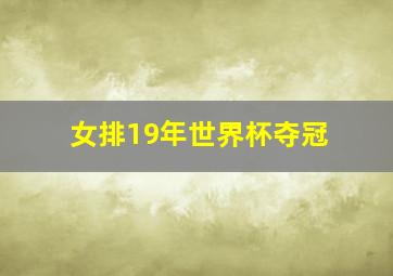 女排19年世界杯夺冠