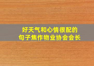 好天气和心情很配的句子焦作物业协会会长