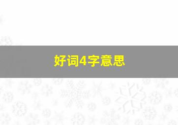 好词4字意思