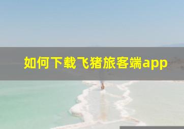 如何下载飞猪旅客端app